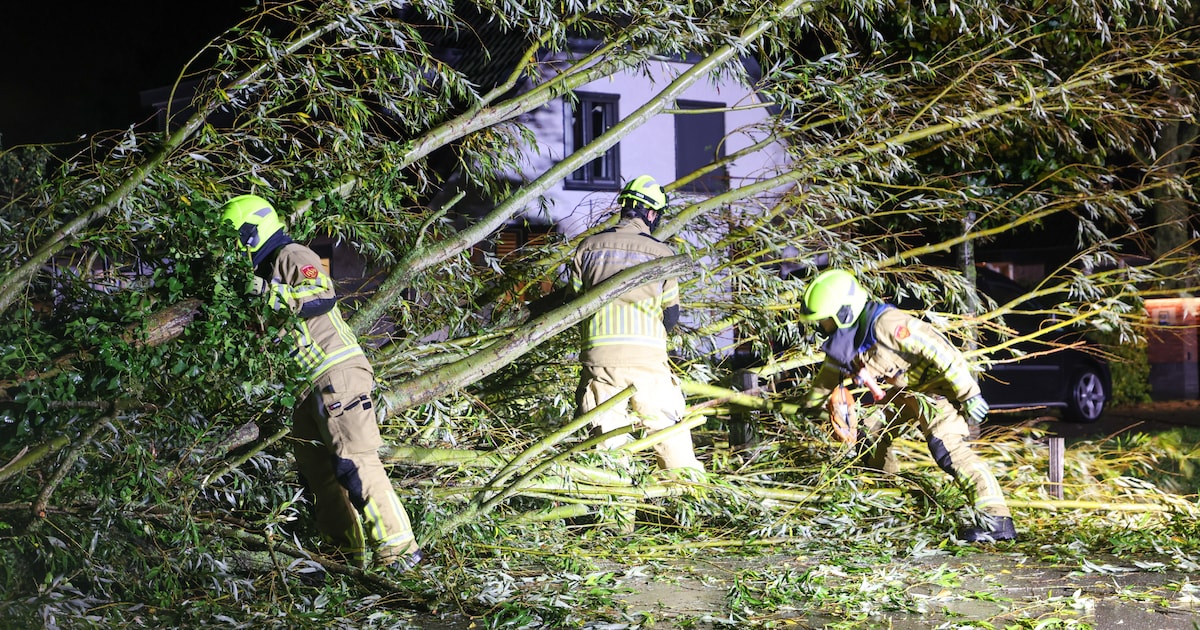 Brandweer druk met stormschades in Barneveld: grote tak van boom afgebroken