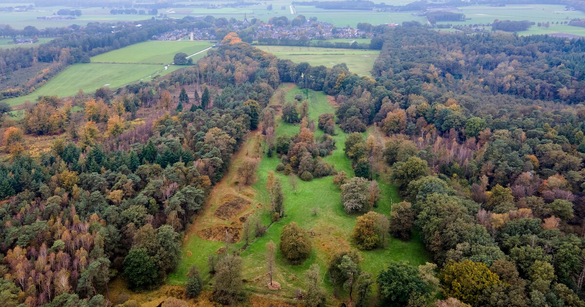 Dode bomen en verdwenen soorten door droogte; waterplan moet landerijen ...