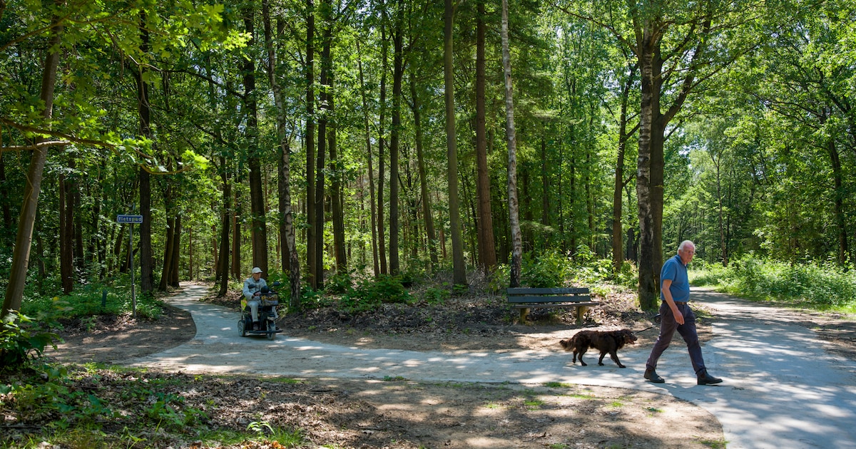 Gemeente Hattem: illegaal vernieuwd fietspad blijft definitief liggen