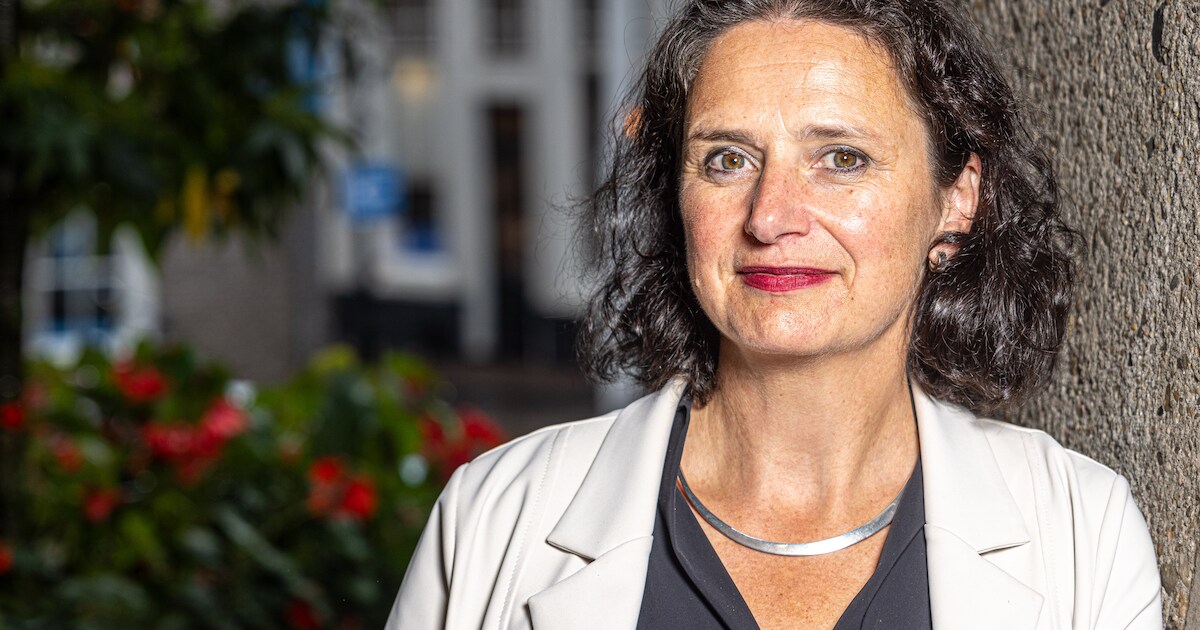 Ernstige zorgen over vele misdrijven die onder de radar blijven: ‘Het ...