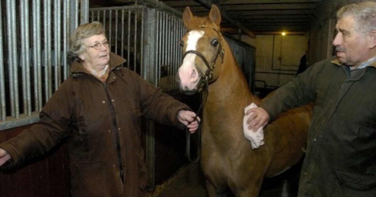 Radewijker fokker van het jaar | Hardenberg