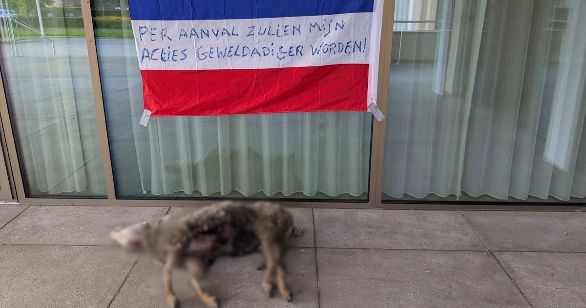 Dood dier en vlag met dreigende tekst bij gemeentehuis Oldebroek, burgemeester overweegt aangifte te