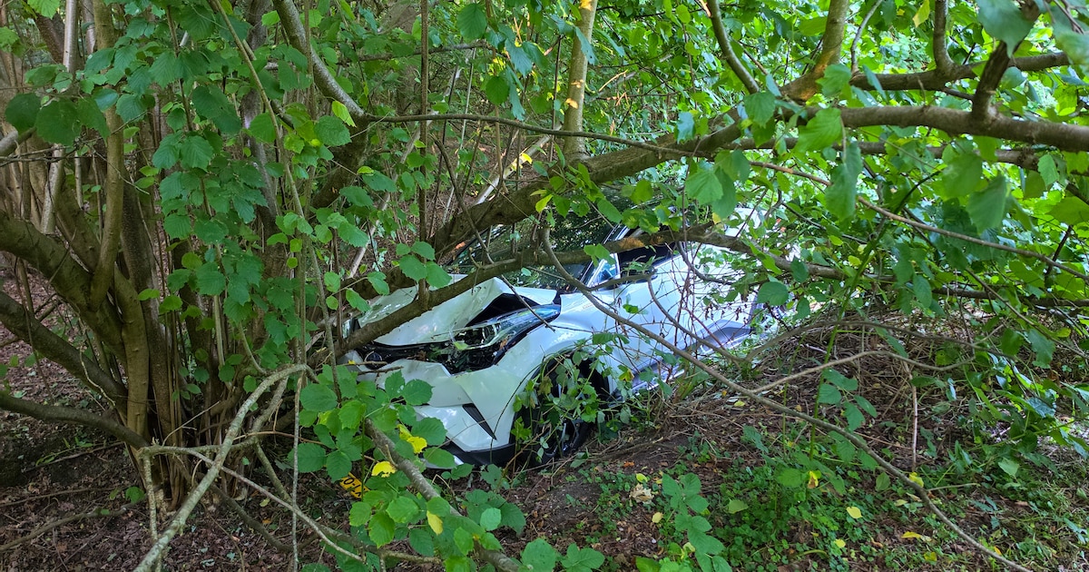 Auto eindigt in bosjes in Lelystad, politie onderzoekt wie reed