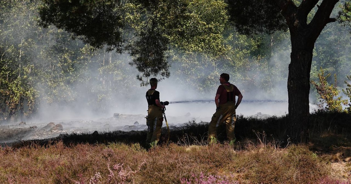 Natuurbrand in Rheezerveen onder controle