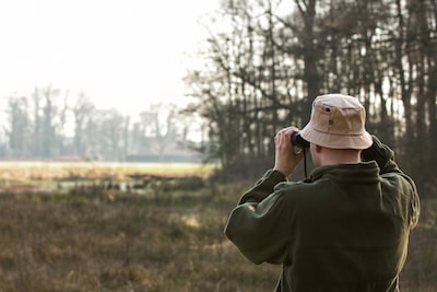 Vogels kijken voor beginners: expert neemt je mee door Wierdense Veld