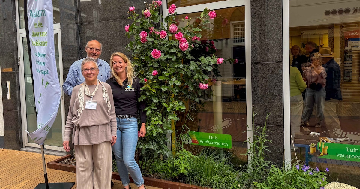 Steenwijk opent eerste groene winkelstraat in binnenstad