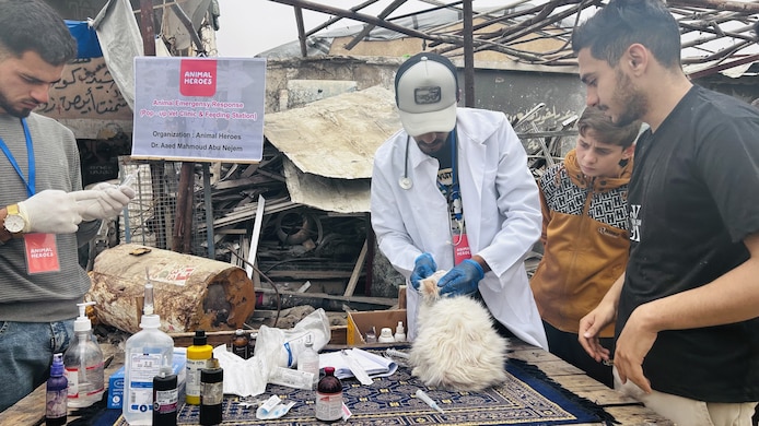 Ayed Mahmoud Abu Nejem on his work: “We have serious shortages of animal feed and medicine.”