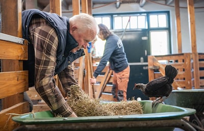 Bertus (66) werkt én woont al 46 jaar op de kinderboerderij, nu komt het afscheid: ‘Dit is mijn hele