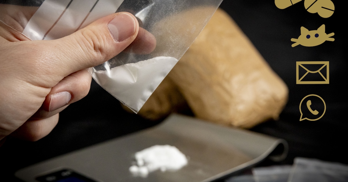 Dealer (24) uit Zeewolde runde drugslijn vanuit bedrijfspand, verstopte cocaïne boven plafond