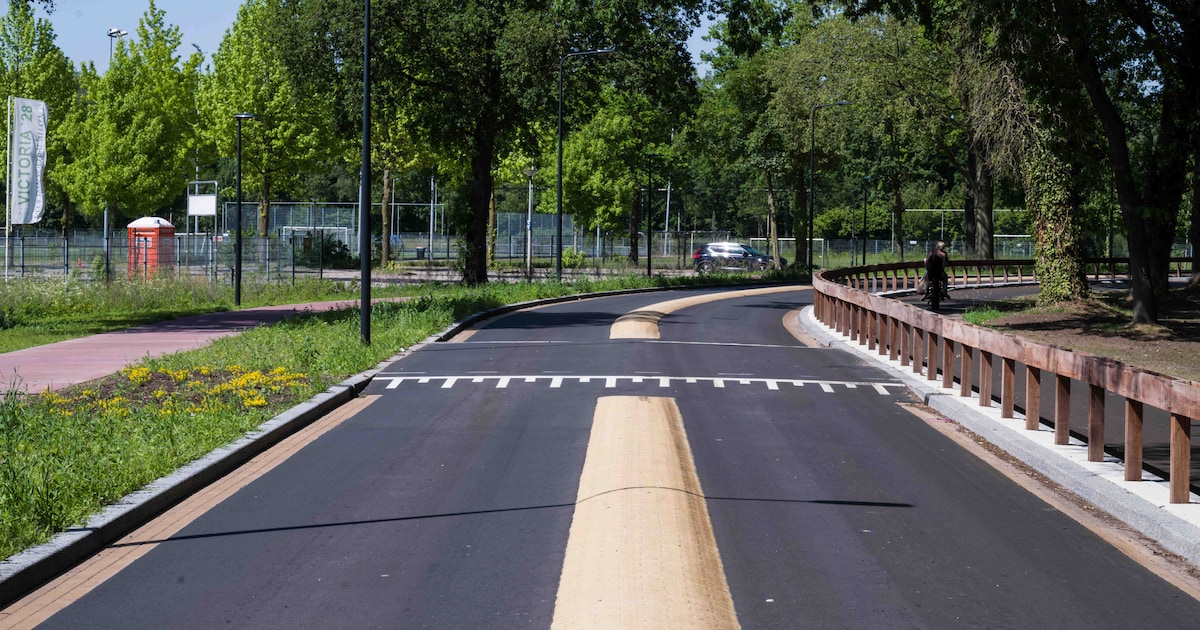 4 centimeter te veel: hoe een gele ribbel een hele buslijn omleidde