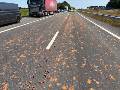 Vrachtwagen verliest lading op A37 bij Nieuwlande, weg ligt bezaaid met wortels