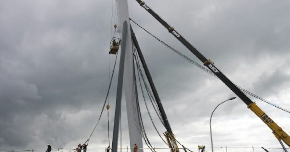 Zwolse fietsbrug in de tuien