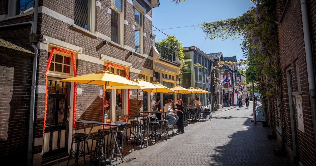 Discussie over één woord: terras Apeldoornse wijnbar blijft staan