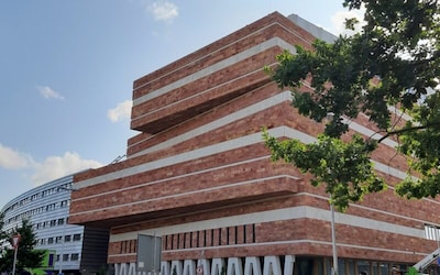 Nieuw thuis voor probleemwolf Bram: na autopsie naar Naturalis in Leiden