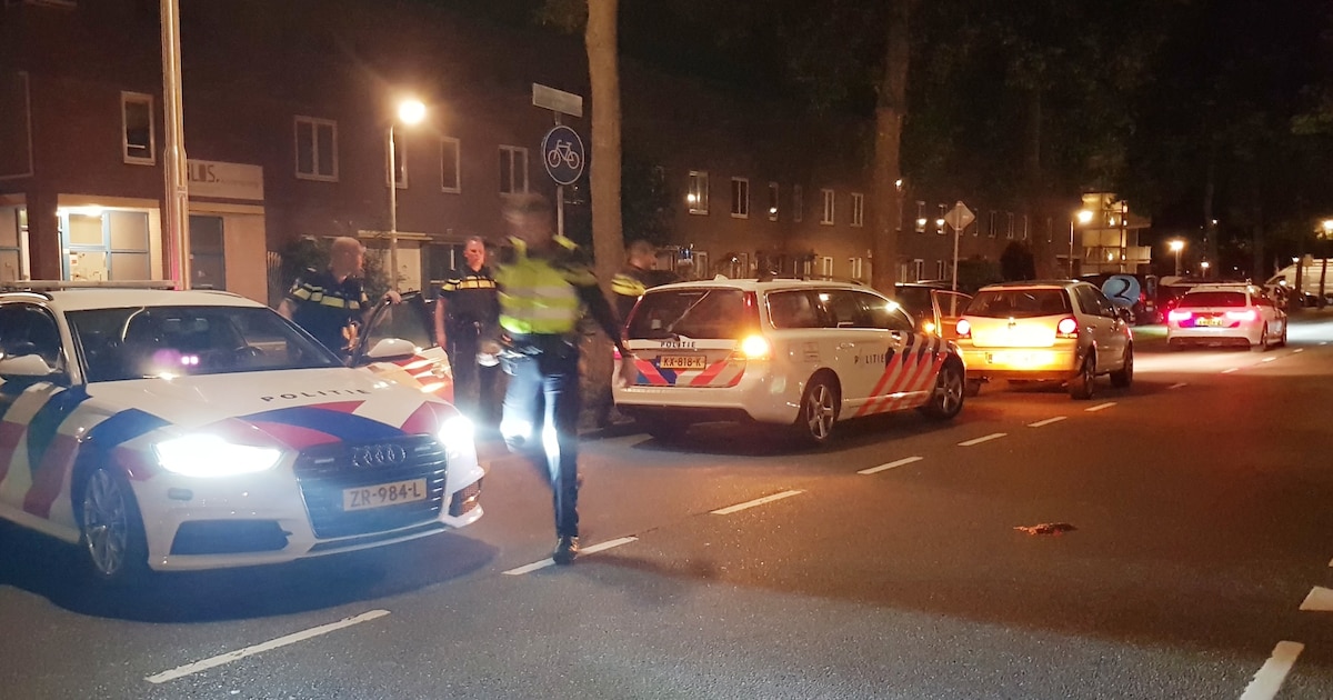Politie zit vluchtende man door Zielhorst met helikopter en honden op de hielen