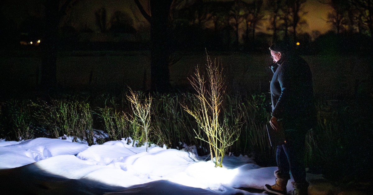 Waarom thuiszorgcliënten Kim juist níet willen zien in dit extreme winterweer: ‘Ze zijn bezorgder om