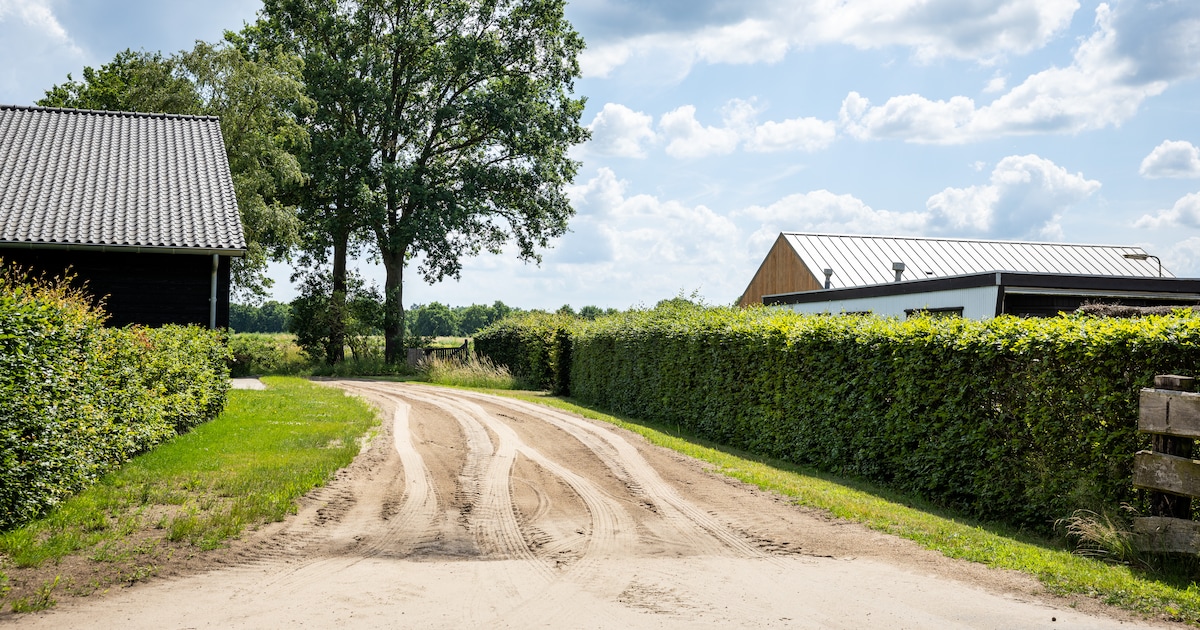 Het toiletgebouw van de camping is bijna af, maar de buurman roert zich over de oprijlaan