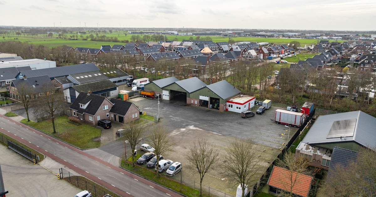 Na stiekeme dierenbeelden verbetering bij vier bedrijven, toezicht stopt voor Stens Transport