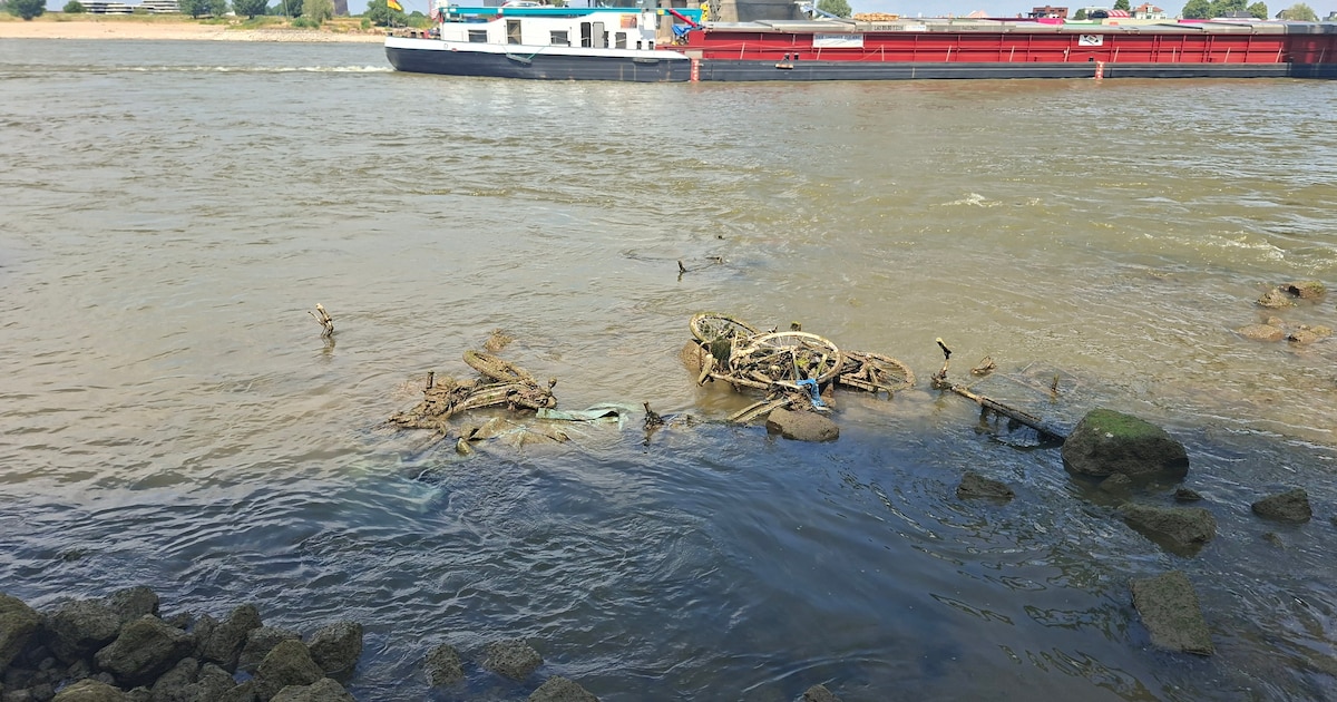 Extreem lage waterstand onthult fietsenkerkhof langs de Waal