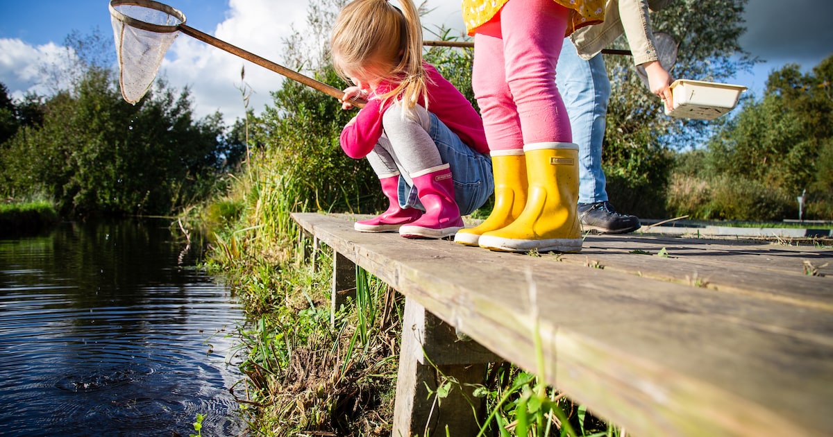 Kinderen gaan op zoek naar waterdiertjes in de Reest