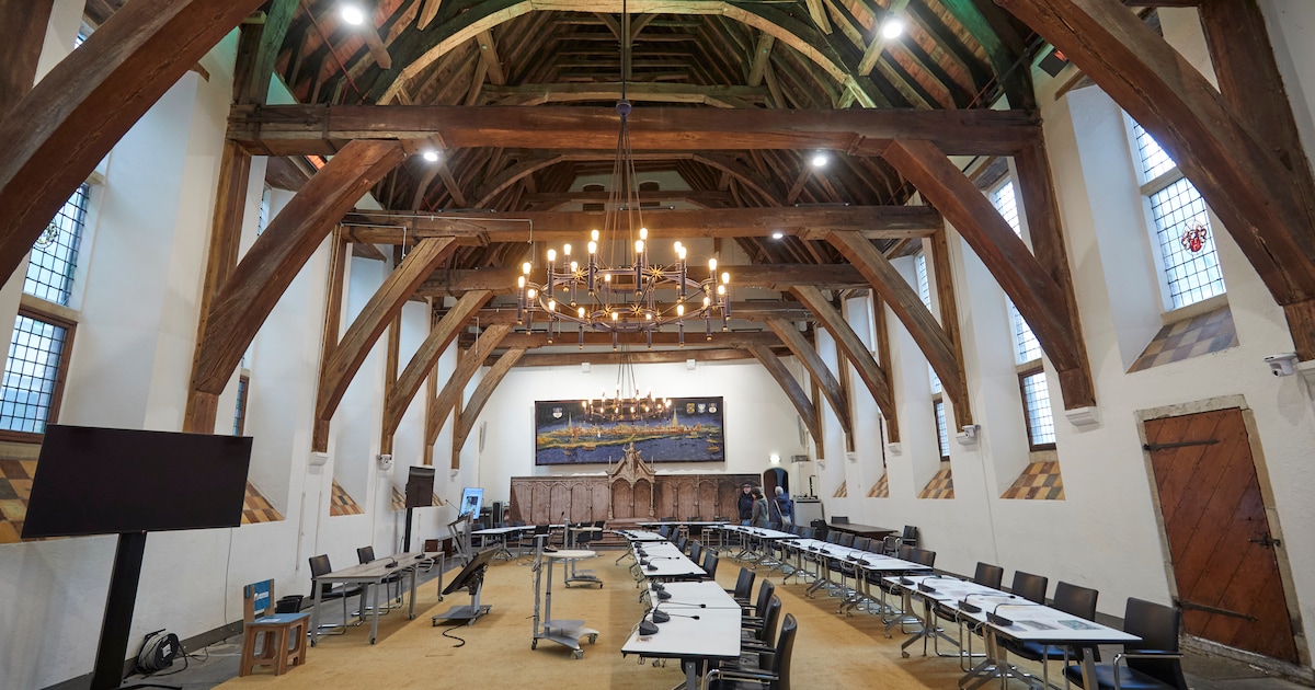 Gemiddeld raadslid Zutphen diende afgelopen jaren zeven moties in, deze partij was het meest effecti