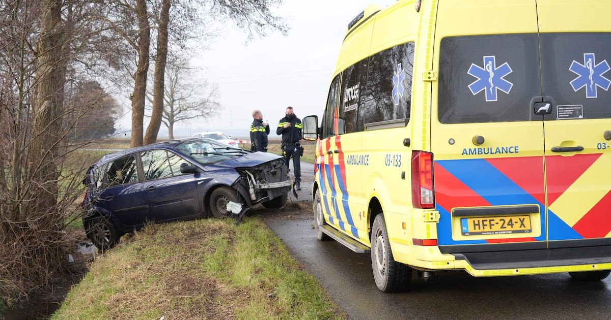 Auto botst frontaal tegen boom op Oude Wilhelmsweg in Emmen
