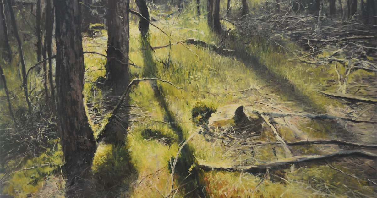 Noord-Veluws Kunstmuseum presenteert de landschappen van Jan Pieter Foppen