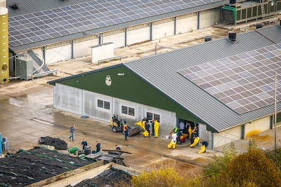 Na grote brand en twee keer vogelgriep is deze kippenboer wéér de pineut: ‘Lamgeslagen’