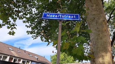 Eigenaren van hond die 11-jarige jongen in het gezicht beet, staan voor een raadsel en leven mee met