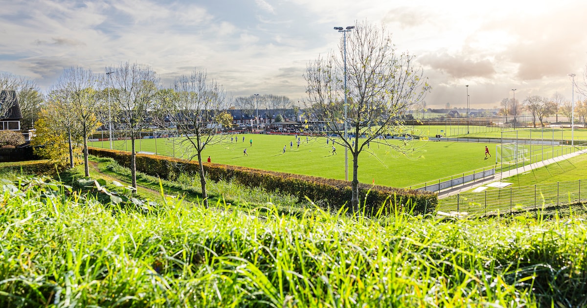 Nieuw hoofdveld is volgende mijlpaal in groei De Hoven, clubhuis is volgende doel