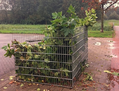 Rijssen-Holten plaatst bladkorven tegen bladoverlast