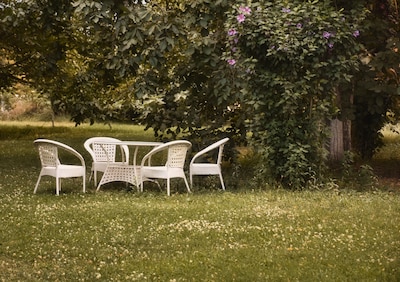 Mijn tuin wordt met argusogen bekeken: te groen, te hoog, te veel