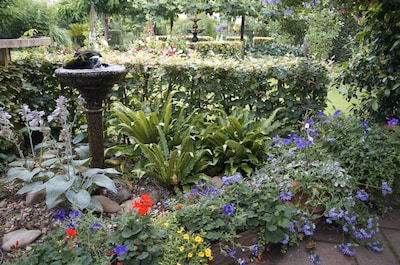 Open tuindagen bij tuin de Zumpe in Doetinchem