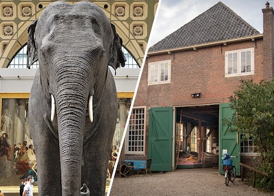 In deze stal van Paleis het Loo kwamen twee olifanten terecht na dramatische jacht: ‘Ze hadden elkaa