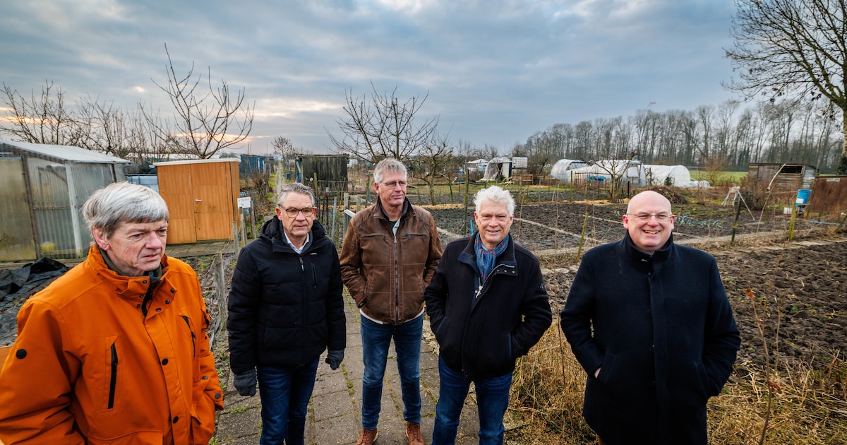 Volkstuinen, paardenweiden en tiny houses maken plaats voor woningen: ‘Wel even schakelen’
