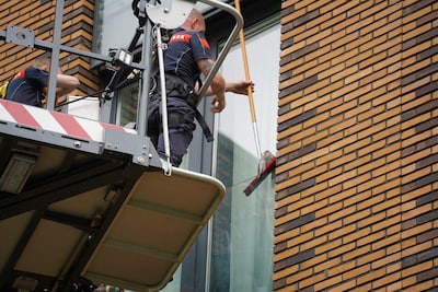 Opnieuw komt een vogel vast te zitten op dit balkon in Zwolle: ‘Veel dierenleed door een menselijke keuze’