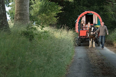 Op de laatste dag deed het paard ons versteld staan