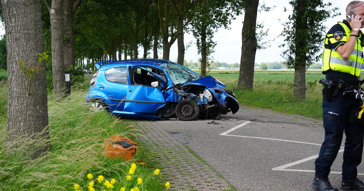 Auto botst tegen boom op kruising in Wijhe
