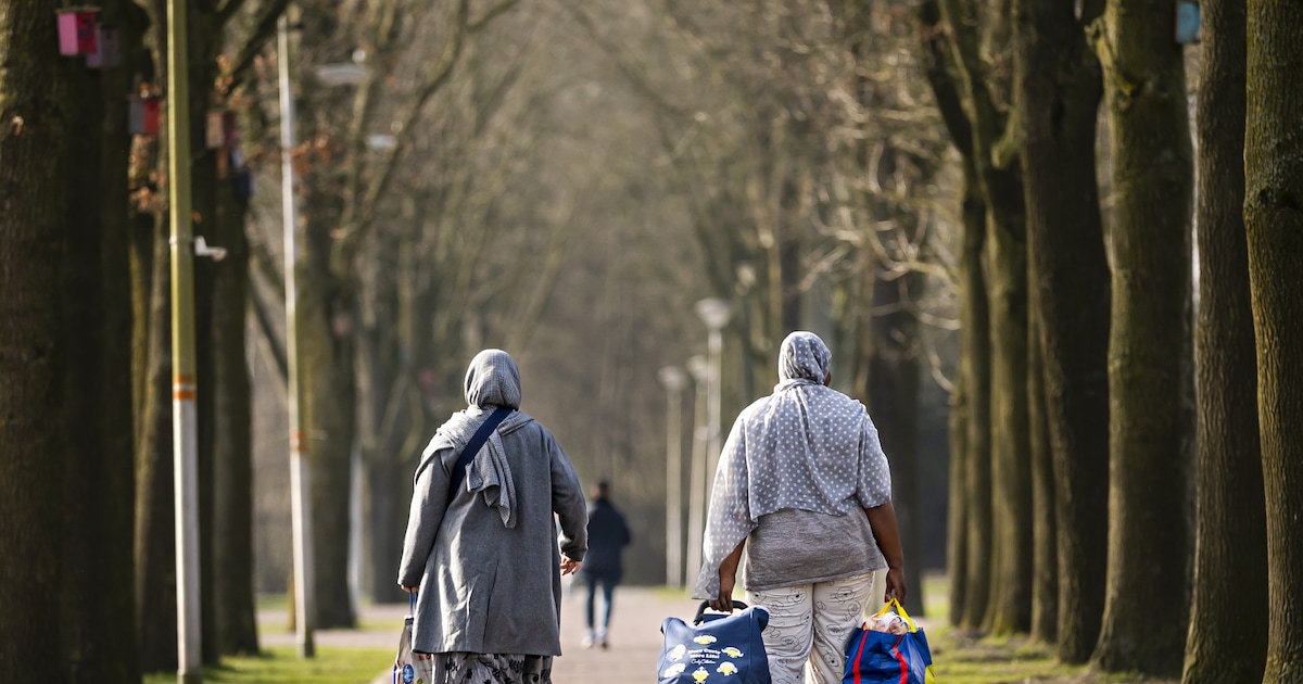 Lezer Frans uit Denekamp is duidelijk: ‘Straf gemeenten die asielopvang weigeren’