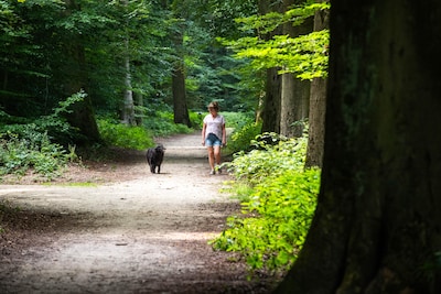 Arno werd gebeten door hond in Schalkhaar tijdens het hardlopen: ‘Ik ben kwaad weggelopen’