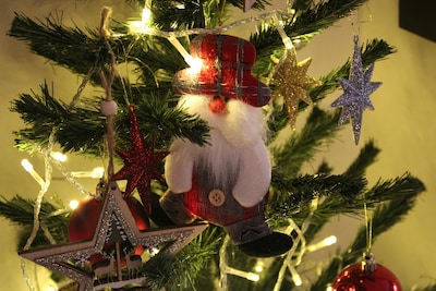 Groei en Bloei organiseert kerstworkshop in Raalte