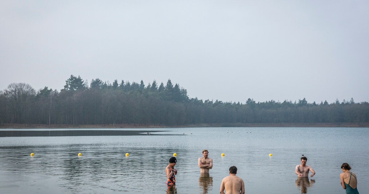 Het water in terwijl het -2 is, deze mensen wagen zich eraan: ‘Ik heb het een beetje onderschat’