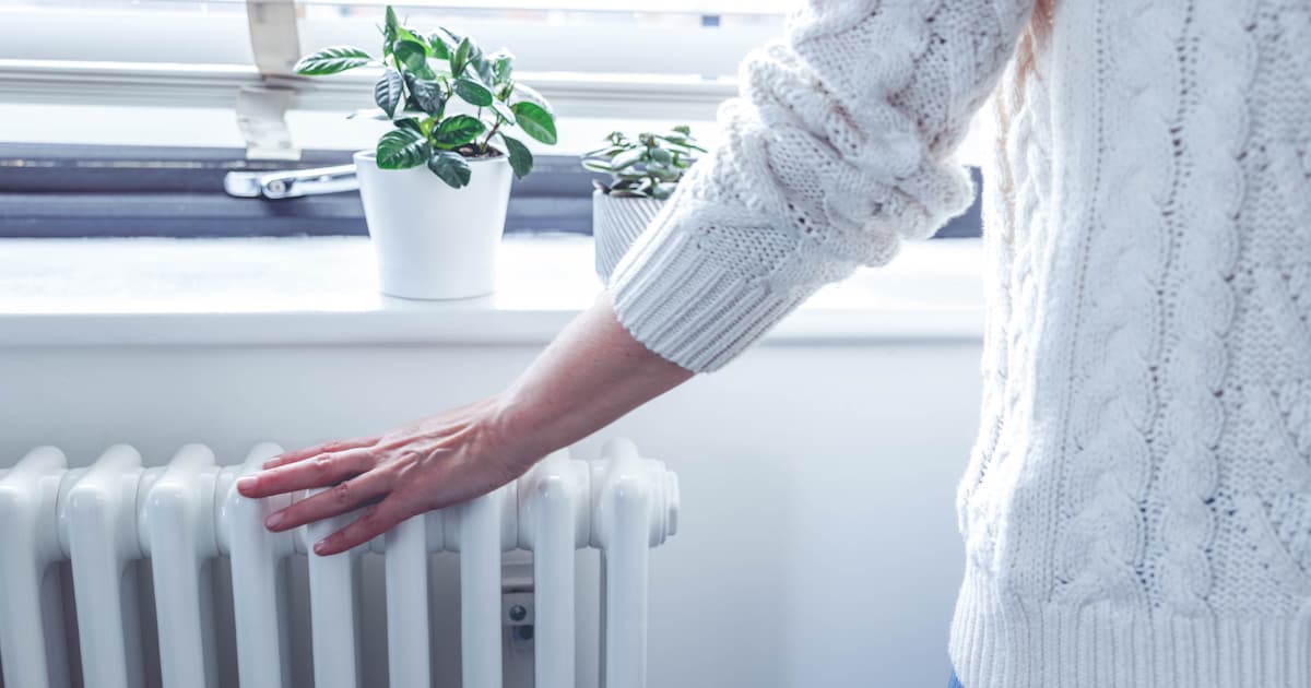 Klimaatweek in Zeewolde: allerlei activiteiten op stapel