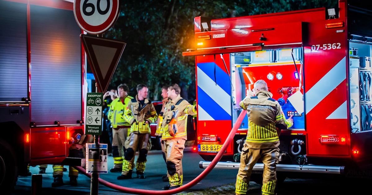 Brand in park De Hoge Veluwe onder controle, schade blijft beperkt