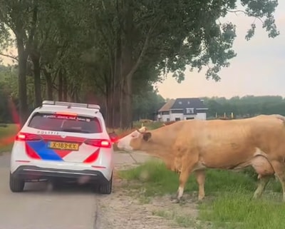 De nachtdienst zit er bijna op, als agenten in Almere bijzondere melding krijgen: ‘Ze luisterden opvallend goed’