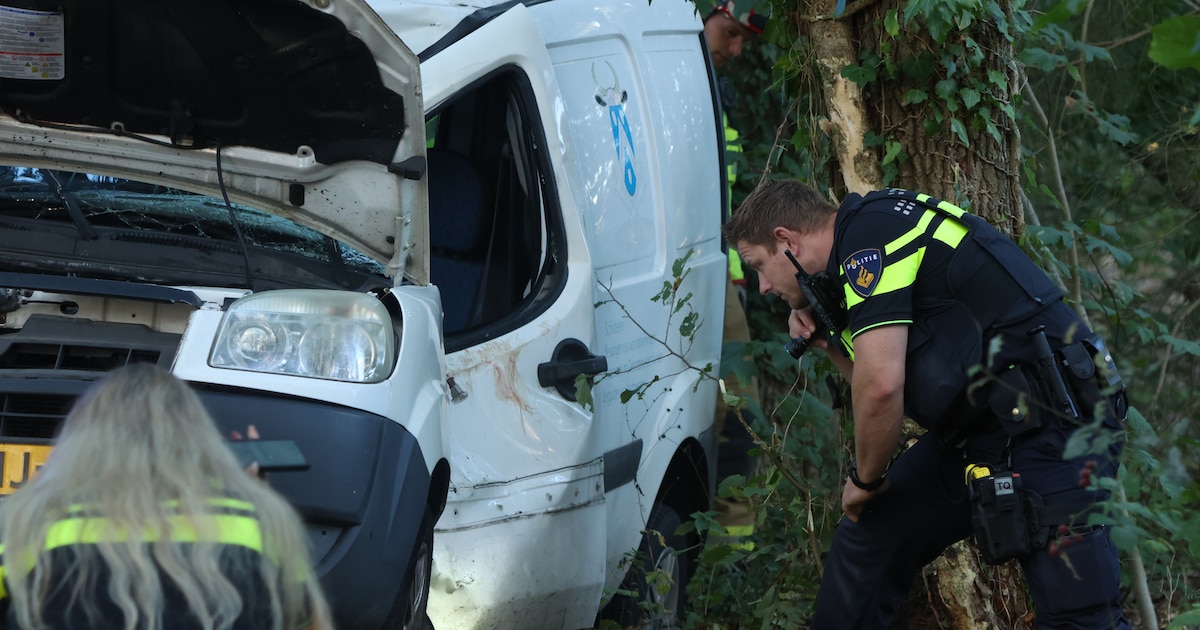 Busje total loss na klap tegen boom bij Laren: twee mannen uit Polen gewond