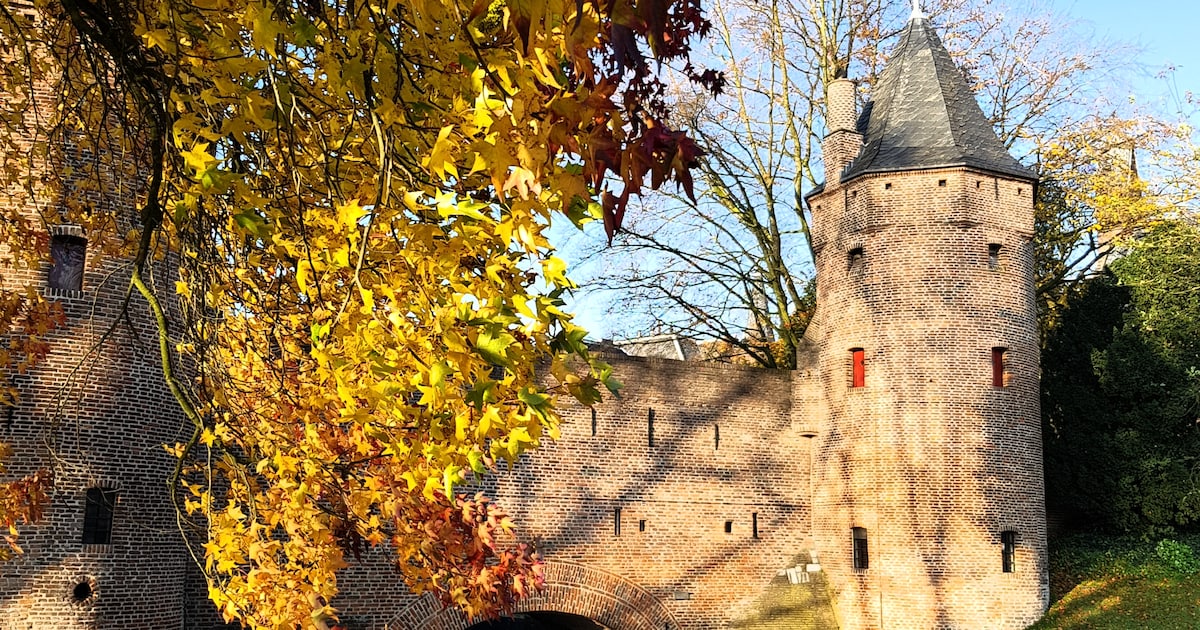 Dit zijn de mooiste herfstfoto’s uit Amersfoort ?? | Foto