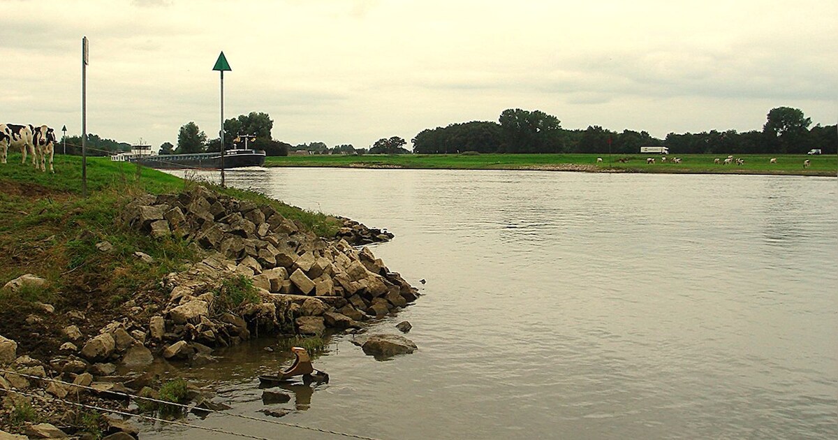 Informatieavond over natuurplannen langs de IJssel bij Welsum