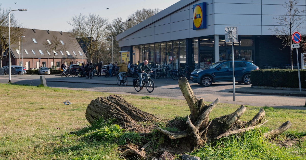 Hoogbouw Warnsveld mag doorgaan, maar wel met kleine aanpassing