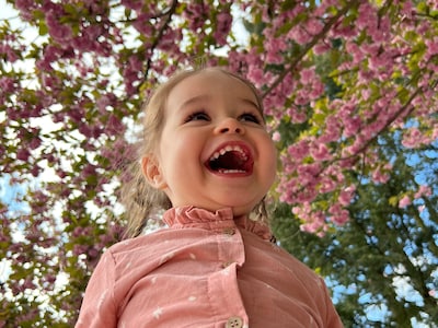 Meivakantie in Deventer: dit is er allemaal te doen